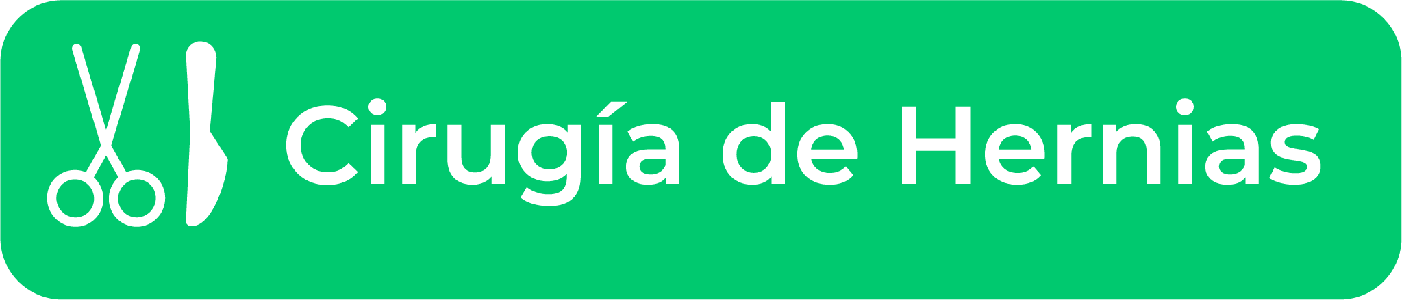 Icono Cirugia de hernias